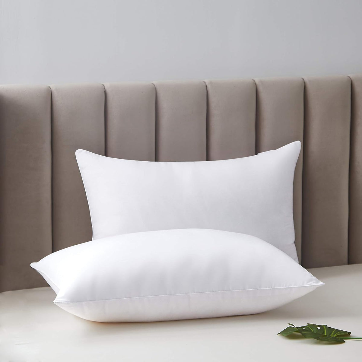 Pillow&Cushion